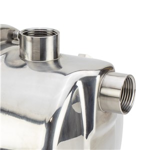 SIP 1" Stainless Steel Surface-Mounted Water Pump