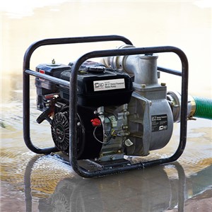 Surface Mounted Water Pumps